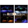 RGBY Flashing Christmas LED Solar Energy String with 60/100/200 leds