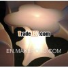 LED Illuminated Table / LED Glowing Centre Piece.