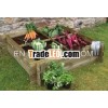 4 Compartment Design Section Vegetable Planter Bed / raised garden beds / planter box