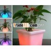 2012 Beautiful Led Flower Pots