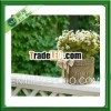 handwoven straw decorative plant pots indoor wholesale