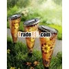 Solar plug mosaic