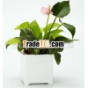 ABS Self-watering Square Plastic Plant Pot
