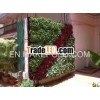 vertical garden plants