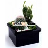 Mini square Plant Pot