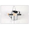Stainless Steel Flower Watering Can