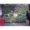 design Green living Wall