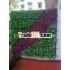 Vertical Green Wall