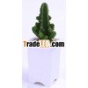 Plastic Mini Self Watering Plant Pot
