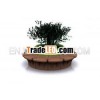 Flower Pot