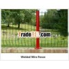 United States High Quality Welded Mesh Wire Fence