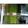 vertical garden wall