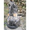 wood fossil
