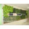 frame garden plant