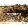 Sub Soil Drainage cell
