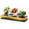Plastic Plant Flowerpot