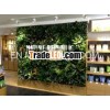 Wall Garden