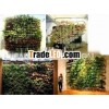 Bio Wall Gardens