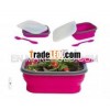 Newest Desing Silicone Collapsible lunch boxes for travelling and picnic