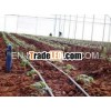 Drip irrigation