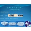 Plastic salad bowl