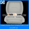 Dongguan Custom Disposable PP Food container With Lid