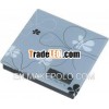 Electronic kitchen scale