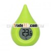 Digital Thermometer