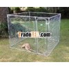Dog house