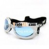 2013 new year glasses pets eyewear nice executive gifts for pets