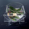 clear acrylic aquariums