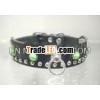Dog Collar Fd-c003