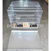 galvanized welded dog cage 36 inch