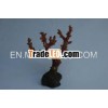 soft corals