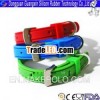 Dogs Training Safe Collar Dog Would Like