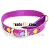 Safety Cat Collar