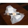 Pet Diaper