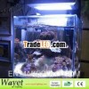 3w led aquairum light