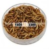 Dog food dried mealworms