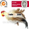Hot Selling Cat Toy Feather Chicken
