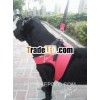 comfy light red pet vest(suitable for large canine) Pet product