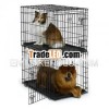 Metal dog cage