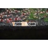 Aquarium soil made in Japan