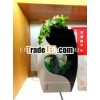 Compact Watertight Acrylic Aquarium Tank
