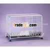 dog cages
