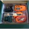 Remote control training beeper collar for dog