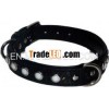 1027 Dog Collar with coloured studs and soft padding