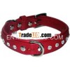 1039 Bridle leather Dog Collar with stud diamond and soft padded