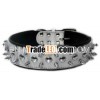 05313 White leather Dog Collar with black padded with spicks