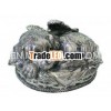 Dog Cremation Urn